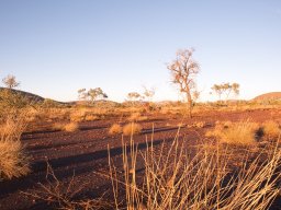 Australienreise 26